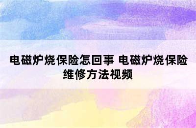 电磁炉烧保险怎回事 电磁炉烧保险维修方法视频